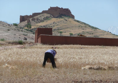 gita parapendio marocco 2013